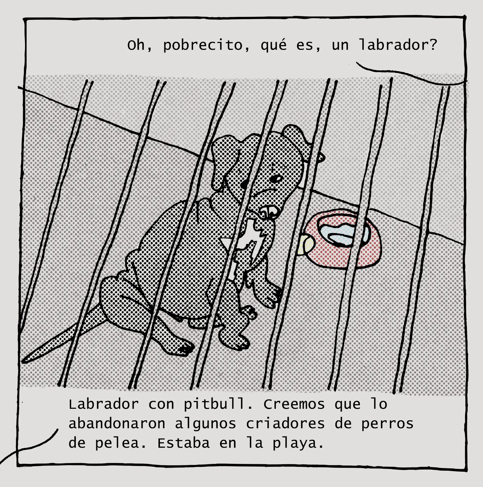 Tira 2, viñeta 2 de 13